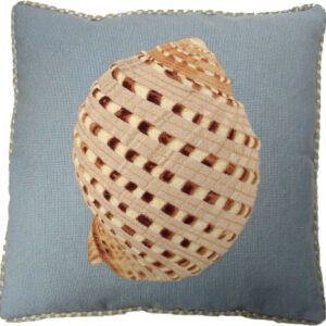 coastal living accent pillow