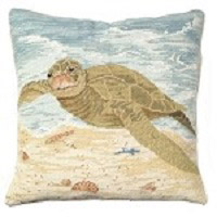 coastal living accent pillow